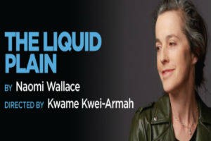 the liquid plain logo 45012