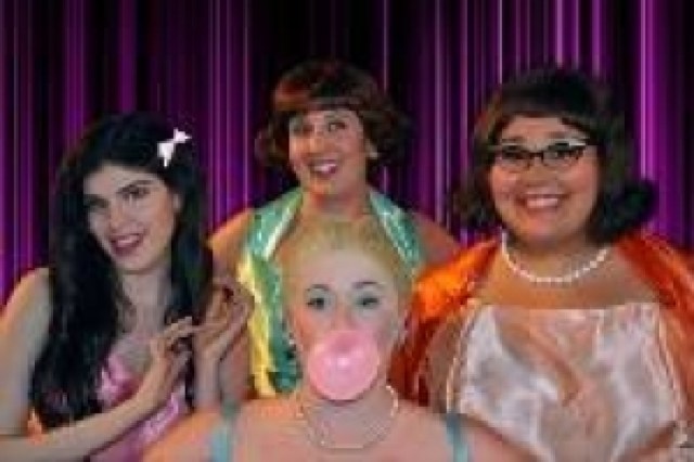 the marvelous wonderettes logo 39878