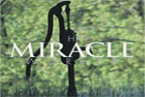 The Miracle Worker