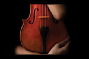 the morini strad logo 12398