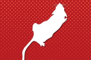 The Mousetrap