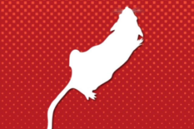 the mousetrap logo 87887