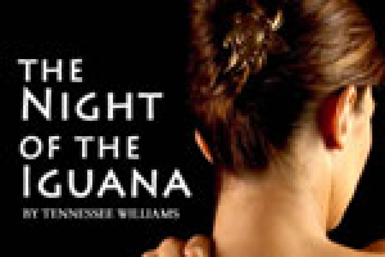 the night of the iguana logo 24067