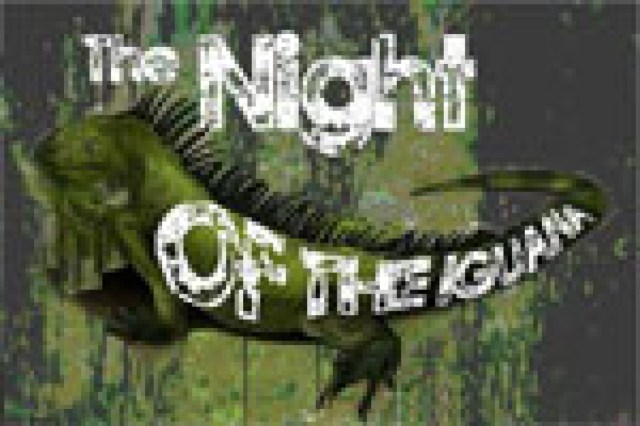 the night of the iguana logo 4642