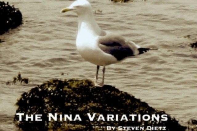 the nina variations logo 35686