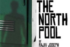 The North Pool