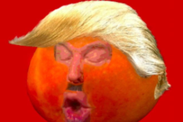 the orange mango cabaret logo 66922