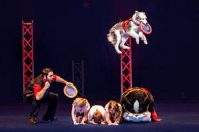 the perondis stunt dog experience logo 94790 1