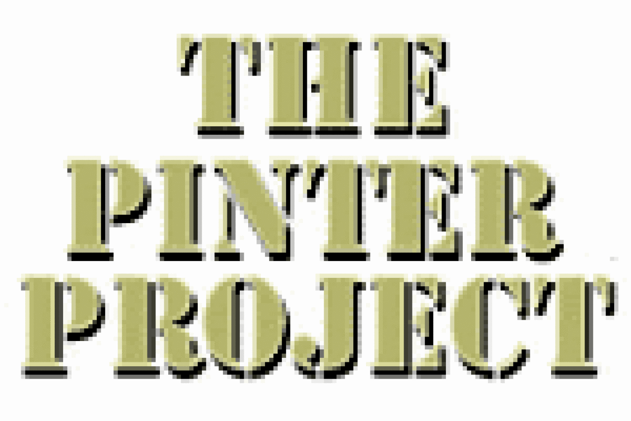 the pinter project logo 3583