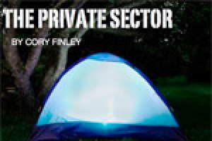 The Private Sector