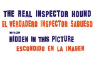 The Real Inspector Hound & Hidden In This Picture