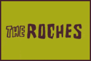 The Roches at Highline Ballroom