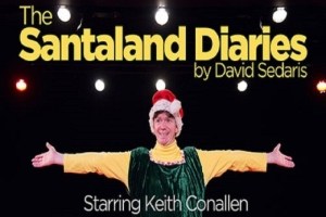 The Santaland Diaries
