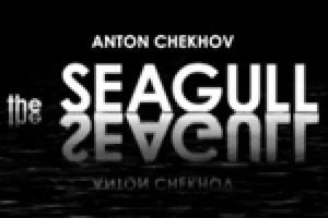 the seagull logo 15296