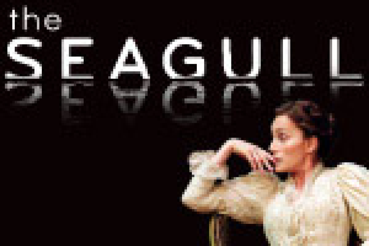 the seagull logo 22769