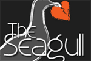 The Seagull