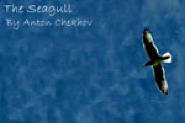 the seagull logo 25620