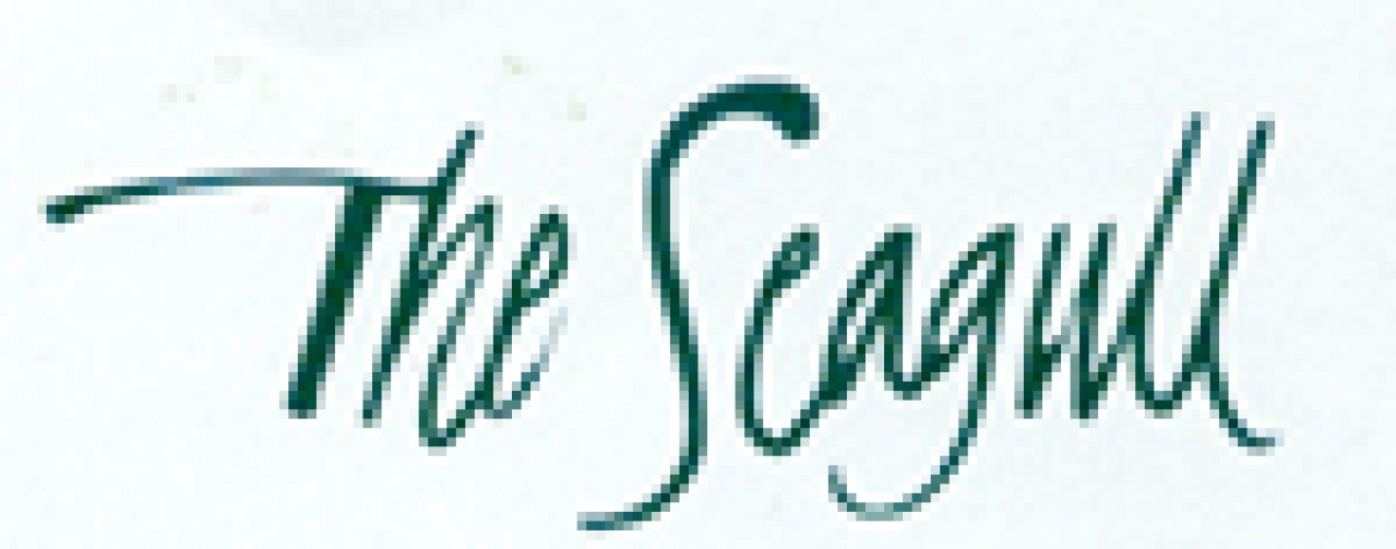 the seagull logo 496