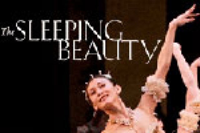 the sleeping beauty logo 21069