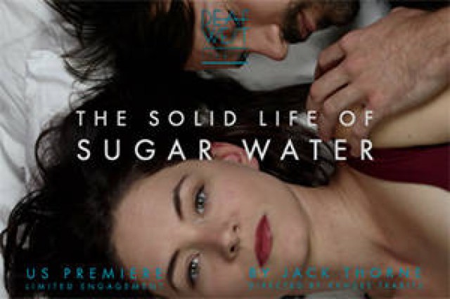 the solid life of sugar water logo 87101