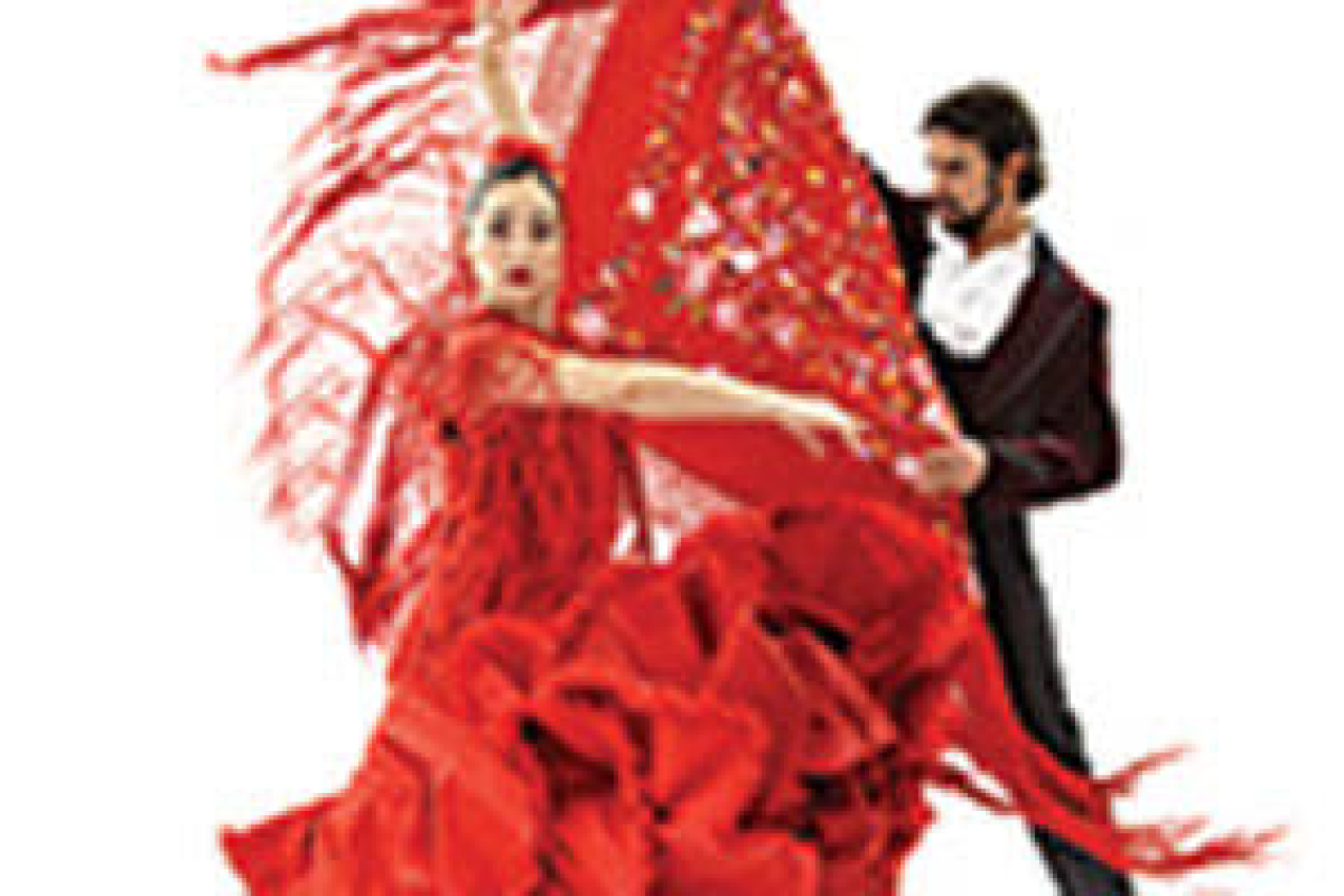 the soul of flamenco logo 45418