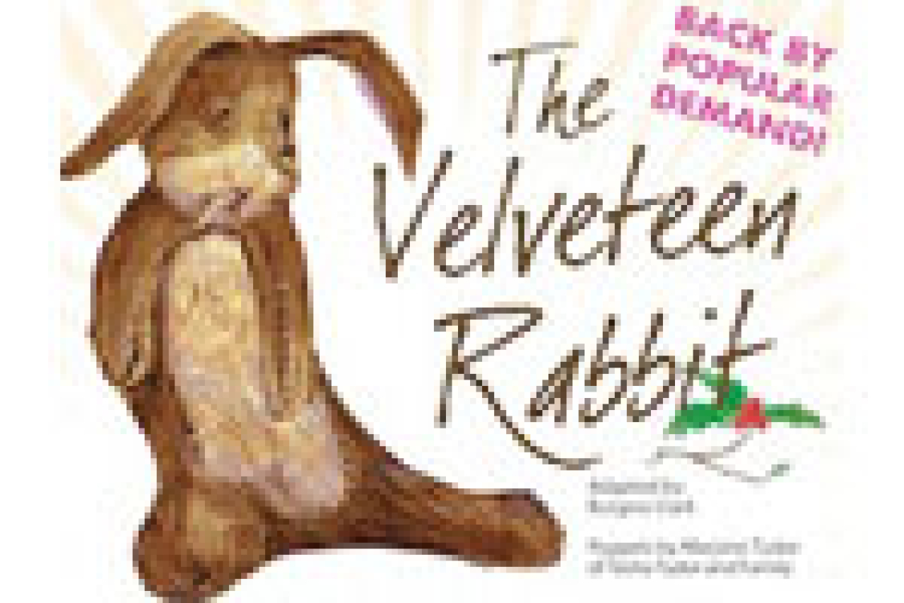 the velveteen rabbit logo 14142
