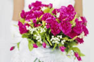 The Wedding Plan