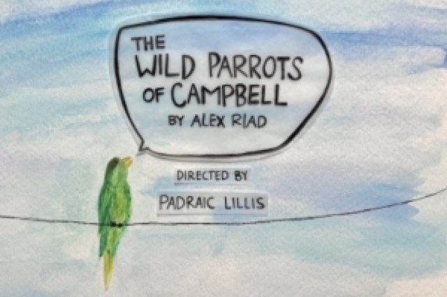 the wild parrots of campbell logo 89162