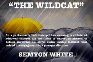 The Wildcat