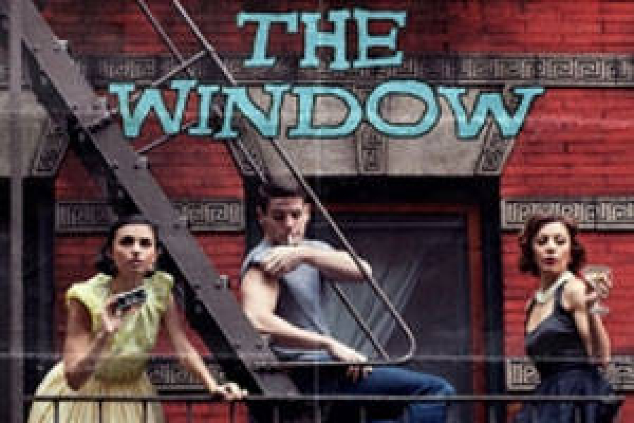 the window logo 35543