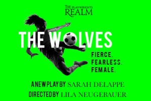the wolves logo 59306