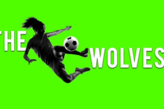 the wolves logo 68775