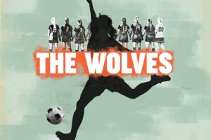 The Wolves