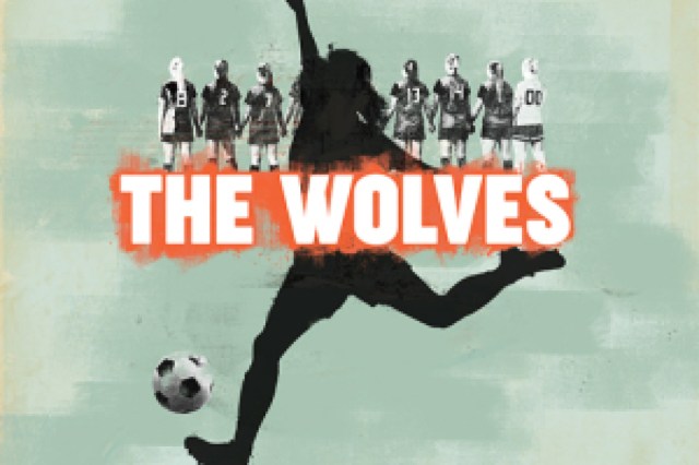 the wolves logo 88127