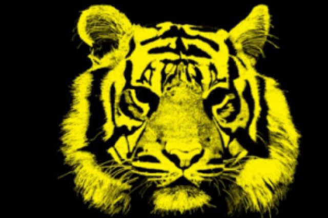 tiger logo 90253