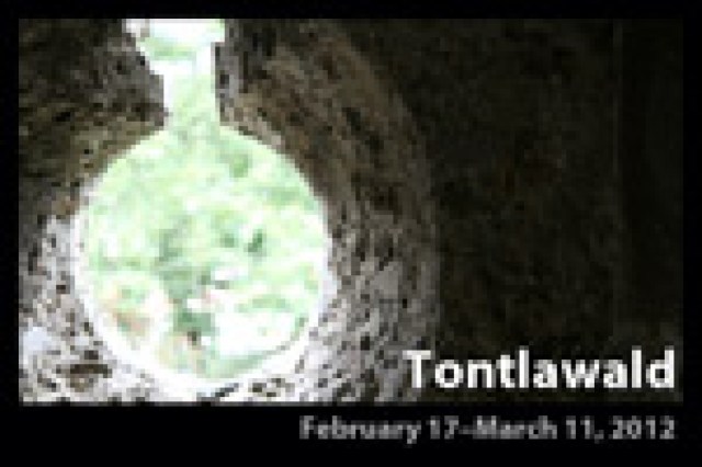 tontlawald logo 15622