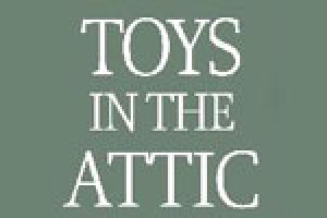 Toys in the Attic