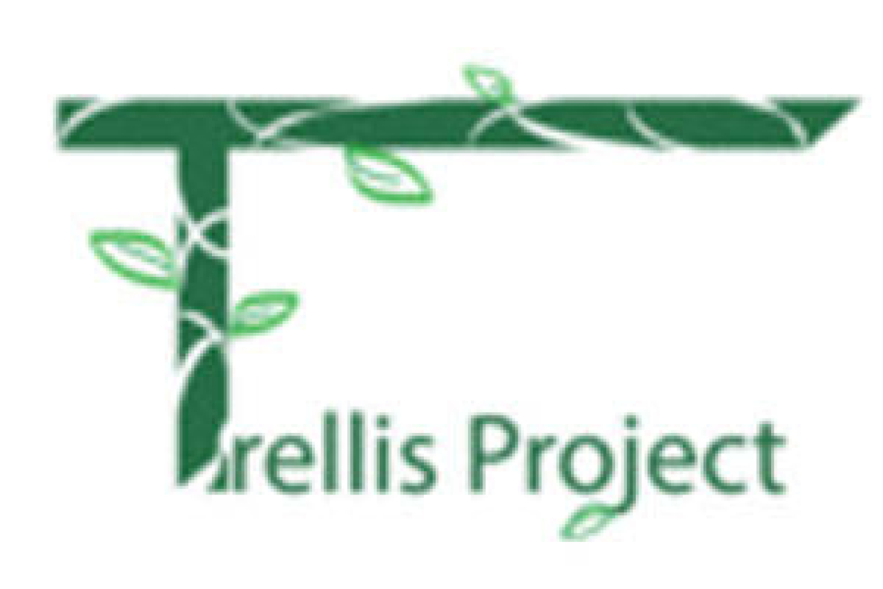 trellis project incongruence juan and emmett logo 43166