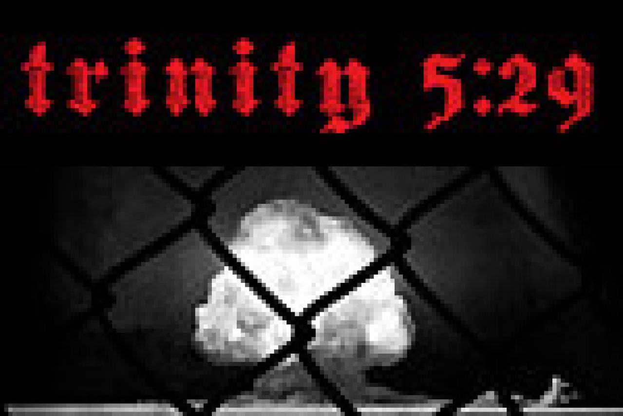 trinity 529 logo 21119