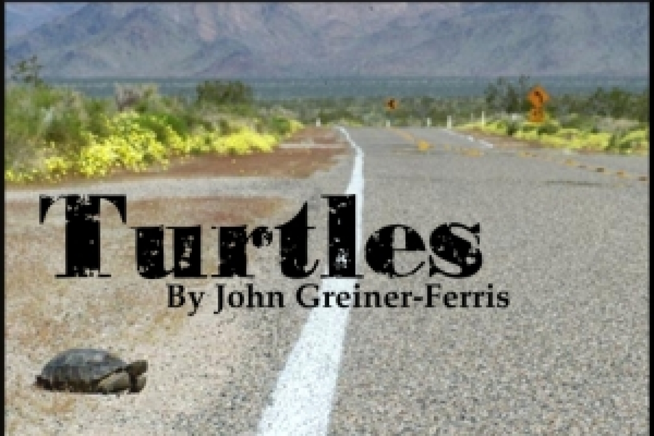 turtles logo Broadway shows and tickets