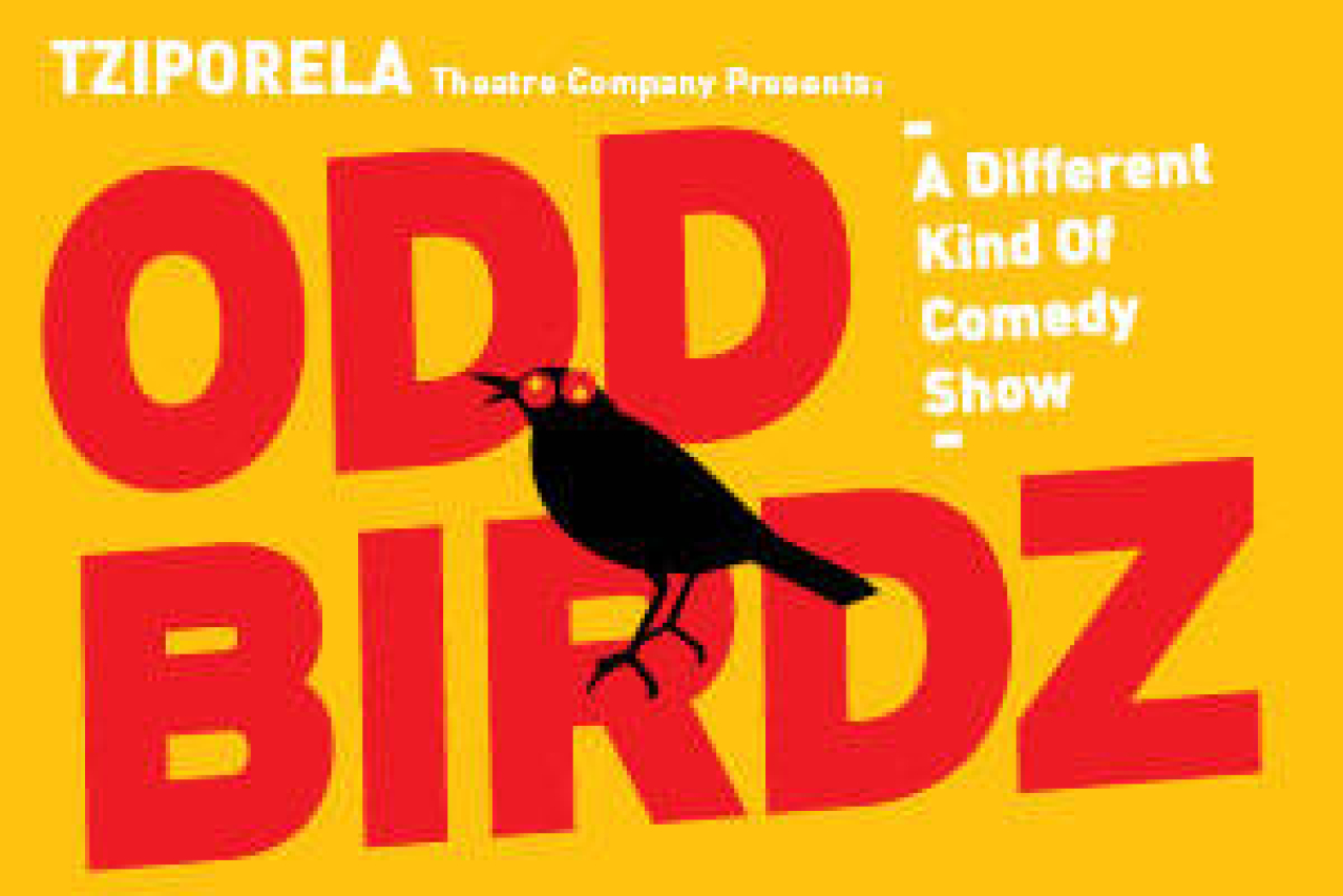 tziporela theatre company presents odd birdz logo 42751