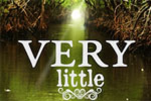 Very Little