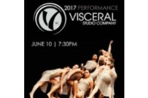 Visceral Studio Company 2017 Performance