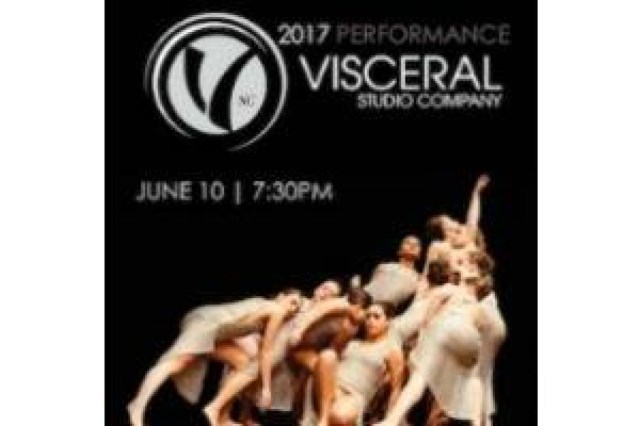 visceral studio company 2017 performance logo 67308