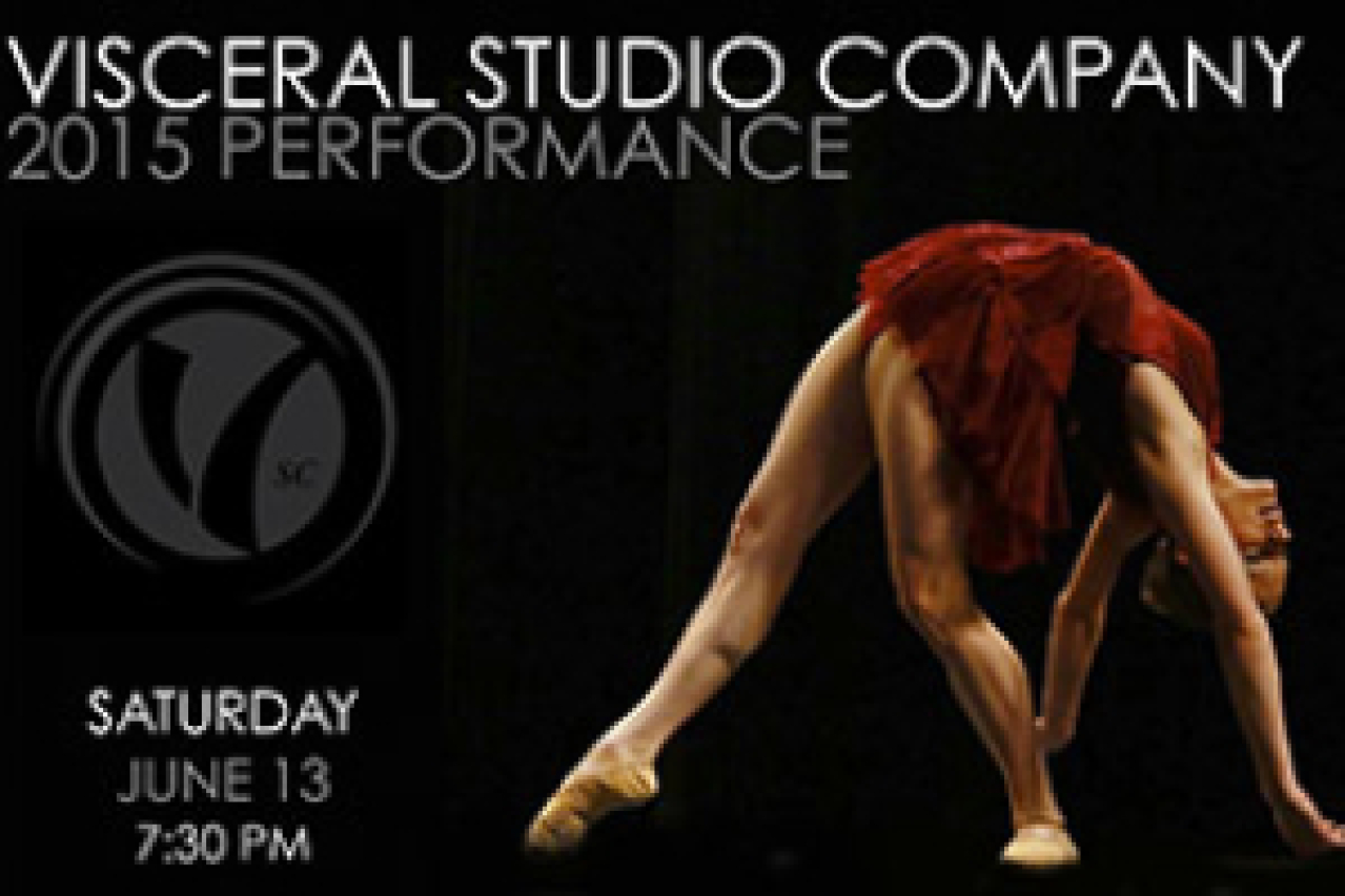 visceral studio company performance 2015 logo 48572