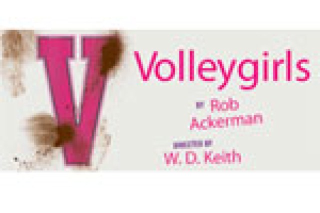 volleygirls logo 21181