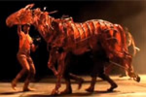 War Horse