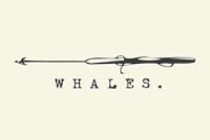 Whales