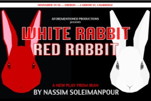 White Rabbit Red Rabbit