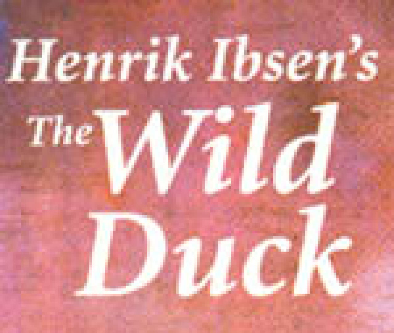 wild duck the logo 711